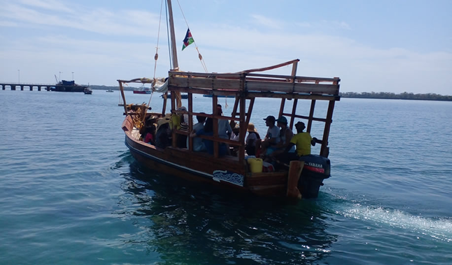 Read more about the article 1 Day Wasini dhow